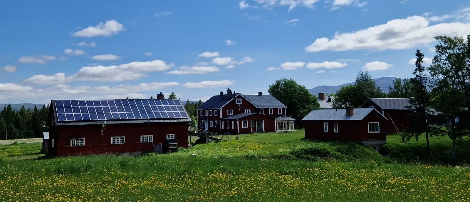 Sommerfiske i fjällmiljö