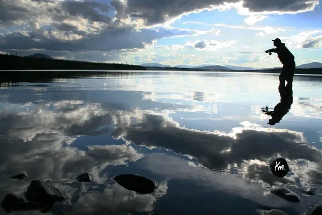 Sommarvy Anariset