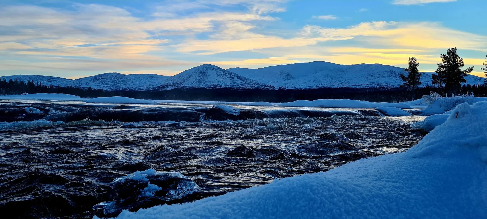 Anariset i vintersken