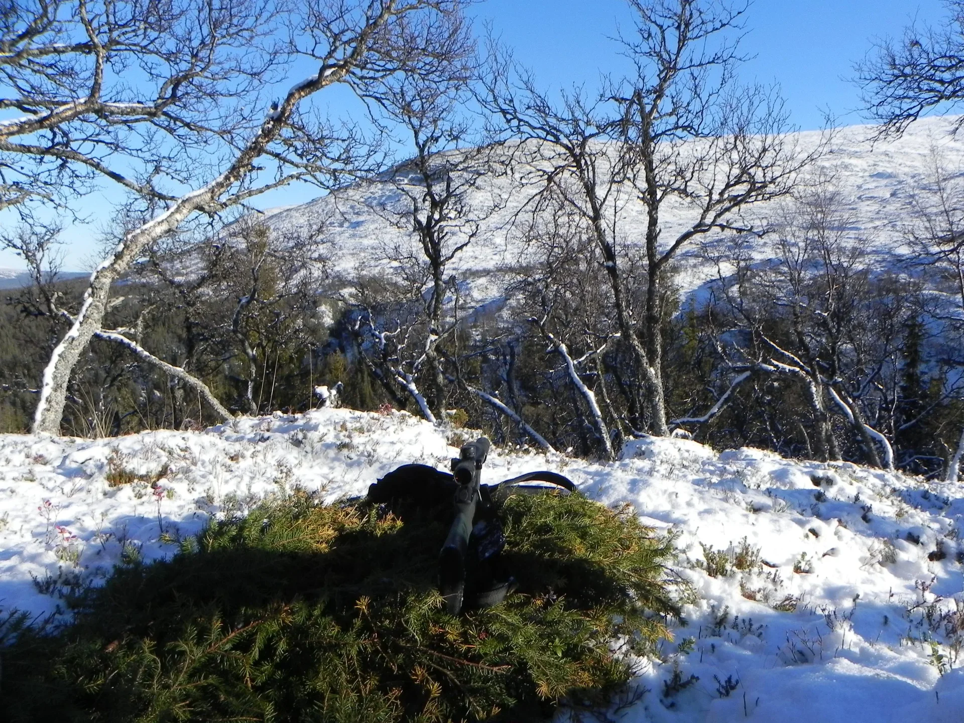 Fiske vid Anariset
