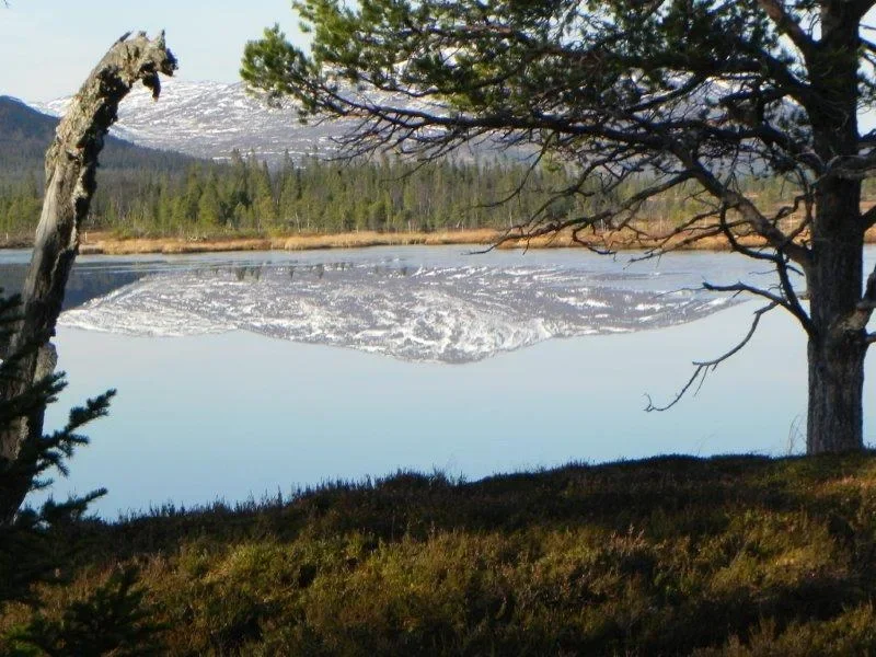 Jaktdag i Anarisfjällen