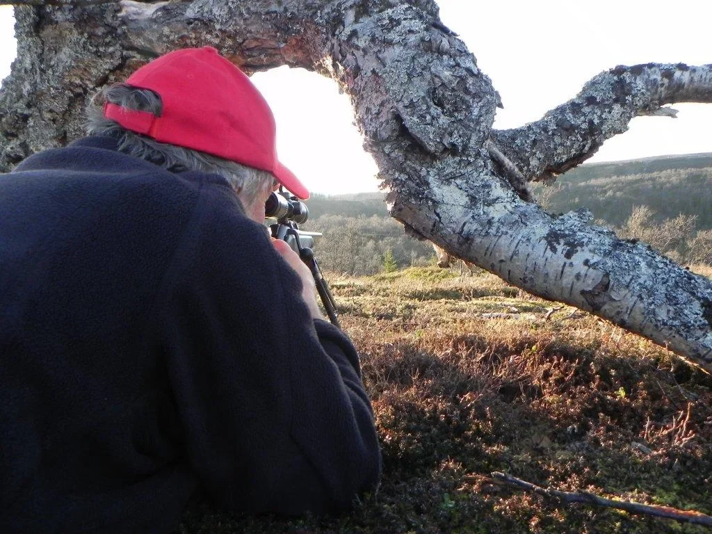 Älgjakt Anariset