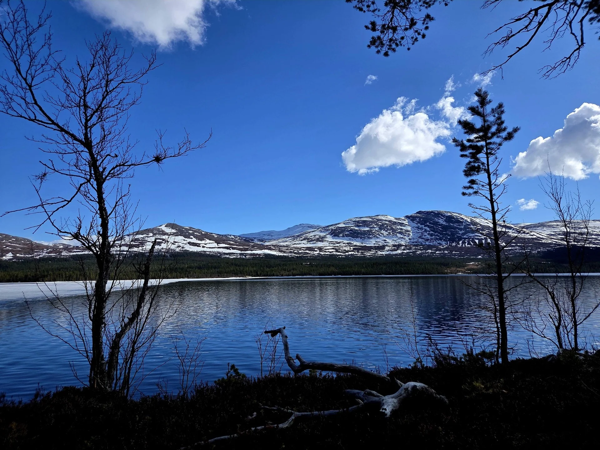 Fjällsjö och mountain i Anarisfjällen