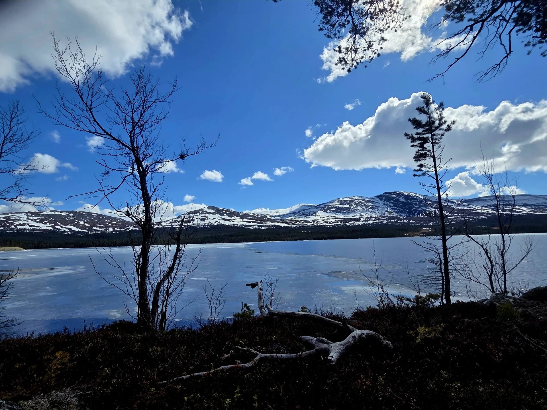 Vårvy över Anarisets sjö och fjäll