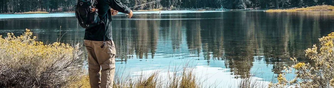Anariset fjällmiljö
