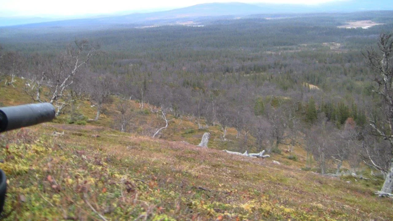 Kikarspaning i fjällen