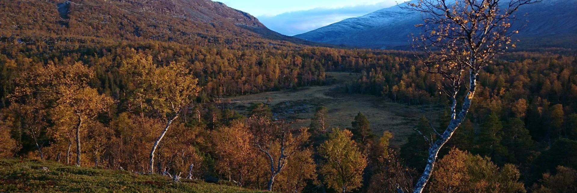 Anariset fjällvy